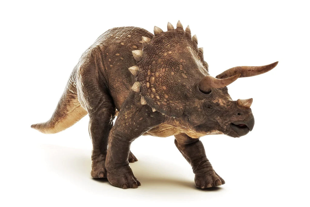 Three-horned Giant: Triceratops